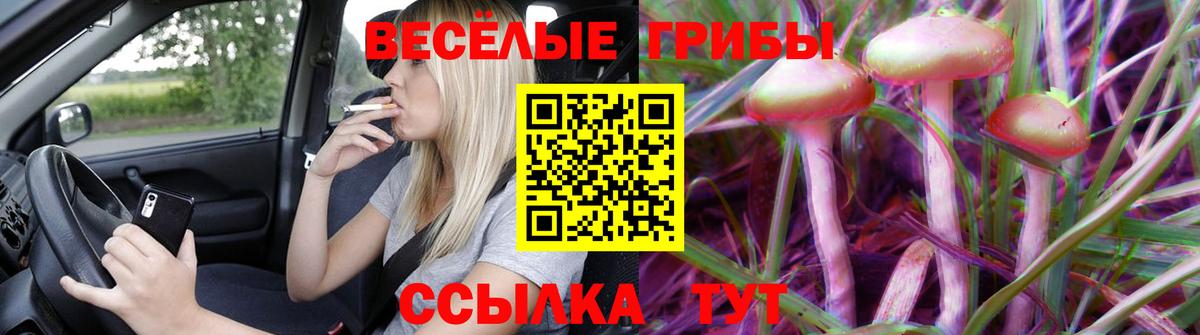 Галлюциногенные грибы GOLDEN TEACHER Коломна